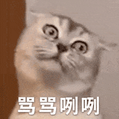 今日份沙雕搞笑表情包