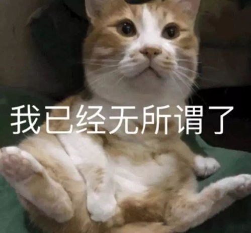 表情包我是个爱而不得的小傻瓜