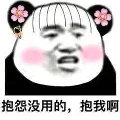 熊猫头表情包肾虚就肾虚别拿睡觉当理由