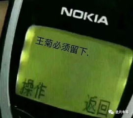 我们喜欢王菊到底在喜欢什么