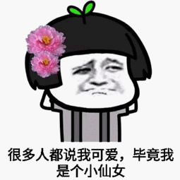 搞笑女表情包小仙女