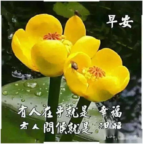 微信早上好很窝心的问候祝福语句,清早很美的早安动态表情图片