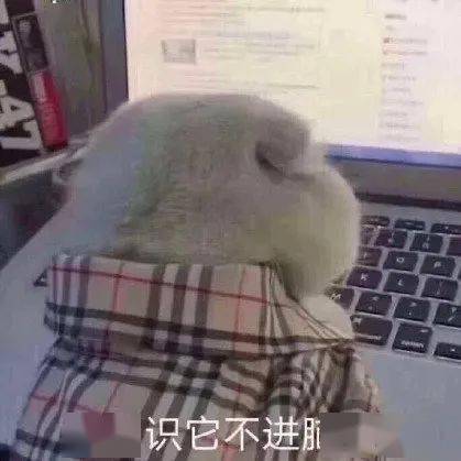 关于各类专家的自我介绍,快来康康吧