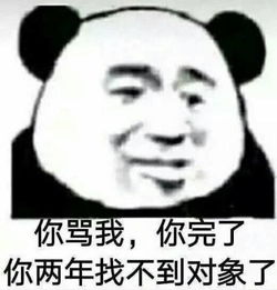 熊猫头生气表情包你骂我你完了,你两年找不到对象了