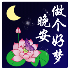 晚上好表情动画晚上好问候语动态图片大全2019