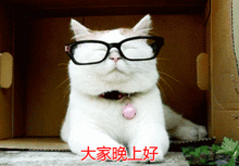 晚上好的动态图片问候语晚安动态表情图片