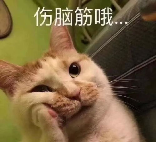 壹知肤痘痘反复发作,到底应该怎么办