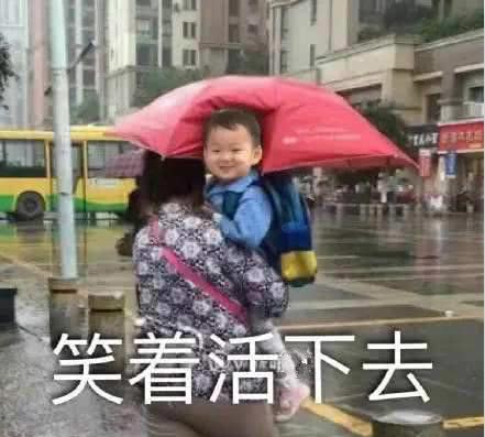 爆笑表情包图片大全第21期
