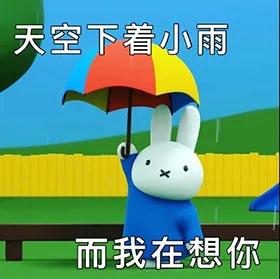表情包miffy米菲兔表情包第二弹