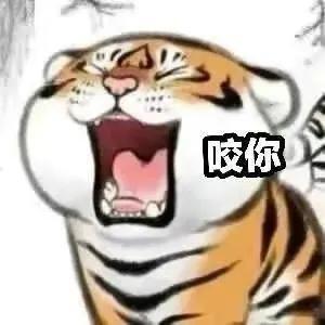 可爱的小老虎来啦