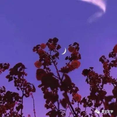 每日短句丨愿你这一生不必经历丰富,而人生幸福腾讯新闻