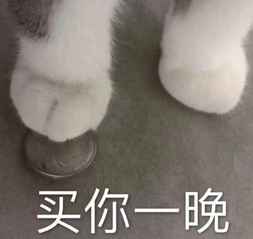 可爱搞笑又沙雕的表情包大全