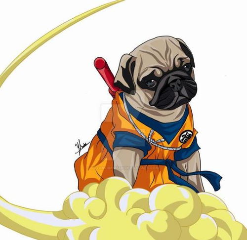 狗狗穿上动漫角色的衣服,实在太辣眼睛,换个品种不好吗