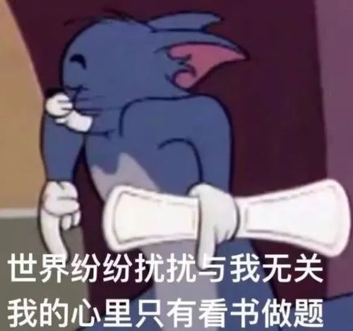 这份大学期末备考指南请收好