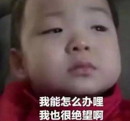 张继科直播曝光豪宅上热搜至少600平,两层大复式......怎么豪宅就变咖啡馆了网友我的豪宅贵妇梦没了