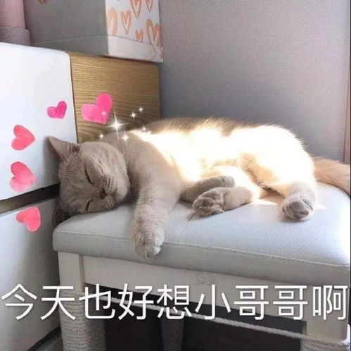 搞笑表情包更新我懂的,这就是生活