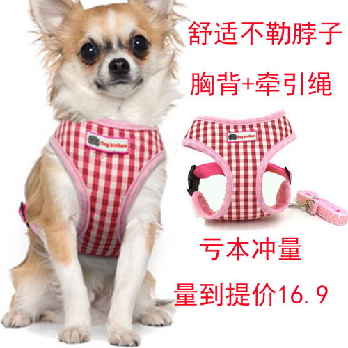 反光小狗狗牵引绳宠物胸背套胸背带牵引带泰迪比熊狗绳子狗链子