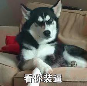 贵圈不乱李易峰人形衣架,baby电秋裤,你永远不知道马粑粑家有多少奇葩