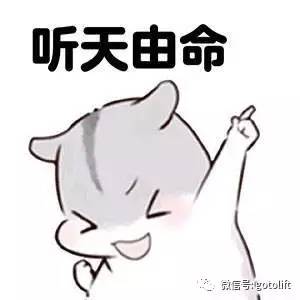 太震惊了健身只需要二十五天