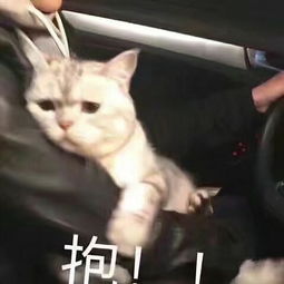 你见过那些搞笑的情头