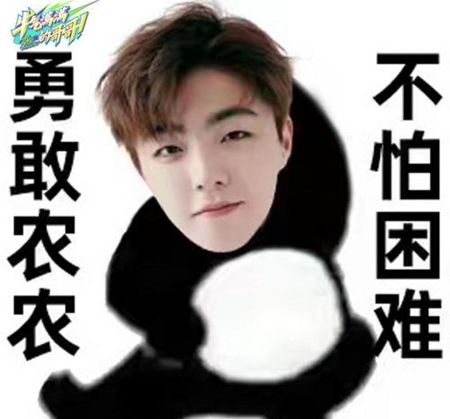 牛气满满的哥哥花式官宣宋威龙改名,陈立农p自己的表情包