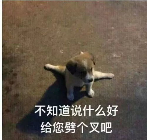 自行打脸不,是向金钱低头
