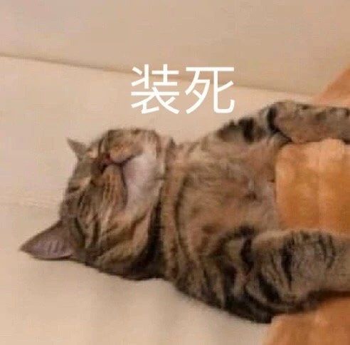 搞笑表情包图片你是我的小奶狗,不然你吃泡面没有调料包