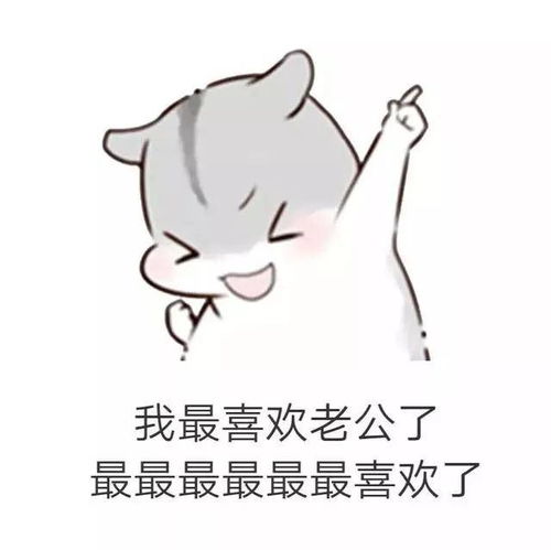 仓鼠套路表情包男朋友生气了该怎么哄