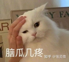 现在的交友软件哪个靠谱些