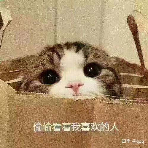搞笑一家人表情包表情包