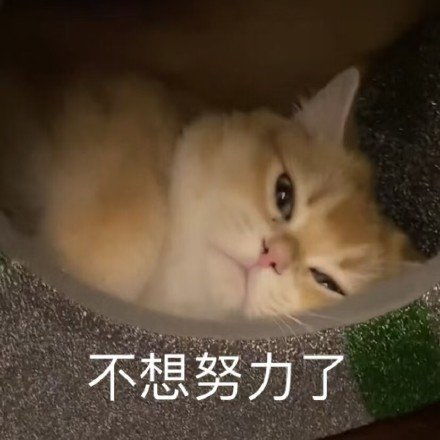 搞笑表情包更新我懂的,这就是生活