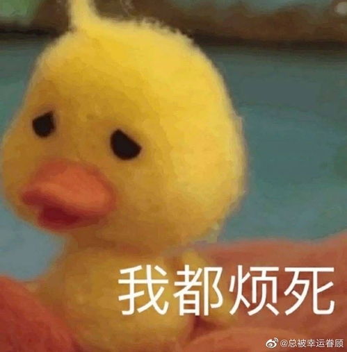 我说的话很难理解么为什么每次都要被按头