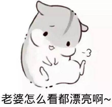 爱老婆宠老婆的表现图片表情老婆奴专用表情包