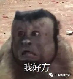 人生处处有惊喜,有人帮你远程点菜,有人帮你远程换台