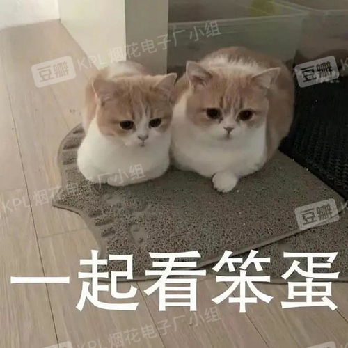 你圈cpf最咯噔的话是什么