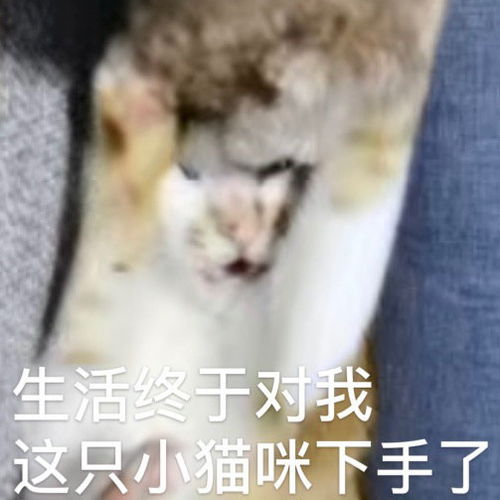 搞笑表情包图片一点都不好笑,反正我没笑