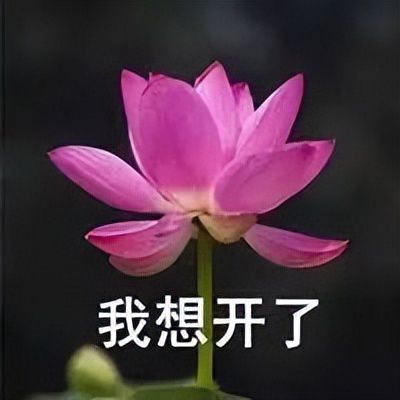 iphone14不用买了,苹果直接让你白嫖