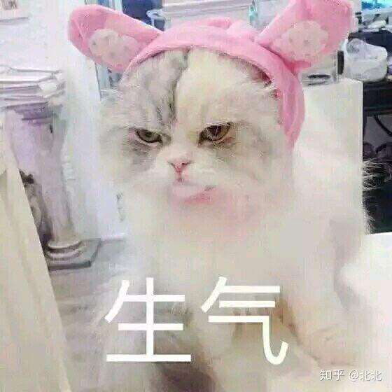 当男生给你发污污的文字或者表情包时,你们怎么接呢
