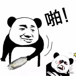 打麻将搞笑表情包加南