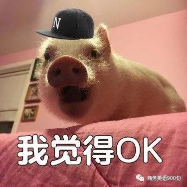 唱歌表情包搞笑图片表情