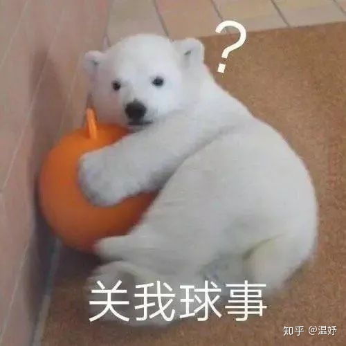 今天是20200202有没有一个好的表白文案求解