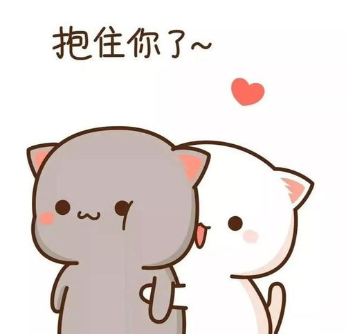 可可爱爱的蜜桃猫表情包3.0来了