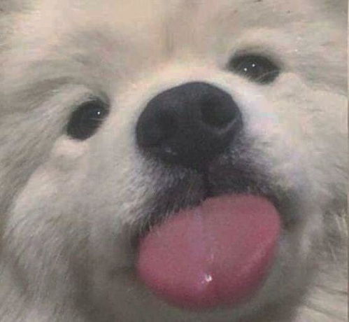 有哪些活泼可爱青春阳光的头像呀