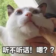 从化女第一次去北方的婆家过冬,场面可以说是非常爆笑了