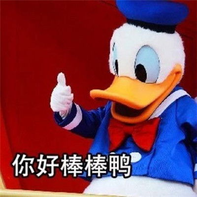 唐老鸭表情包大全超可爱带字高清今天不想加班鸭