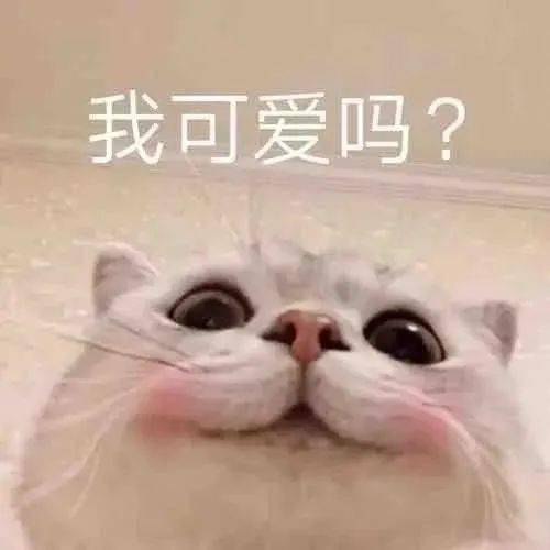 国庆表情包我们已经是好友啦,一起来沉默吧