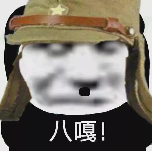 太君表情包你滴良心大大滴好