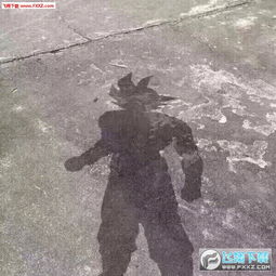晒出原型影子素材下载晒出原型搞笑图片素材无水印版下载飞翔下载