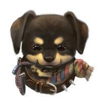 微信头像动物微信头像图片大全