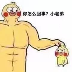 最近热门表情包你怎么回事小老弟你怎么回事小老妹